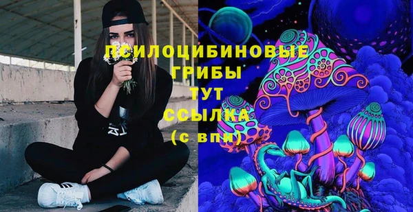 ПСИЛОЦИБИНОВЫЕ ГРИБЫ Бородино